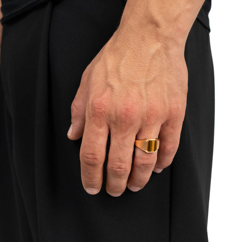 ZEGELRING TIJGEROOG ACHTHOEK 585, 750 GOUD